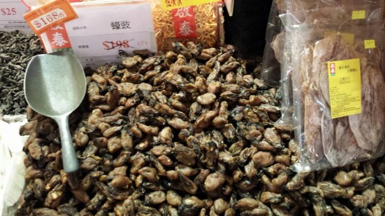 dried oysters HK$168:斤 (600g)= S$50:kg