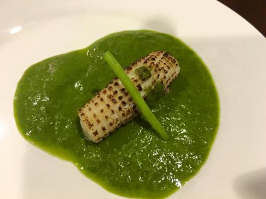 flamed squid in spinach veloute