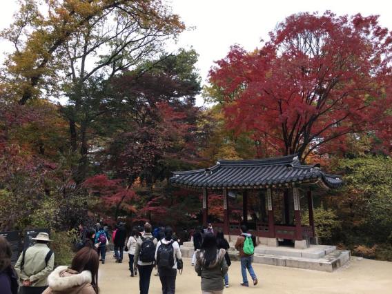 Day 1 - biwon秘苑secret gardens