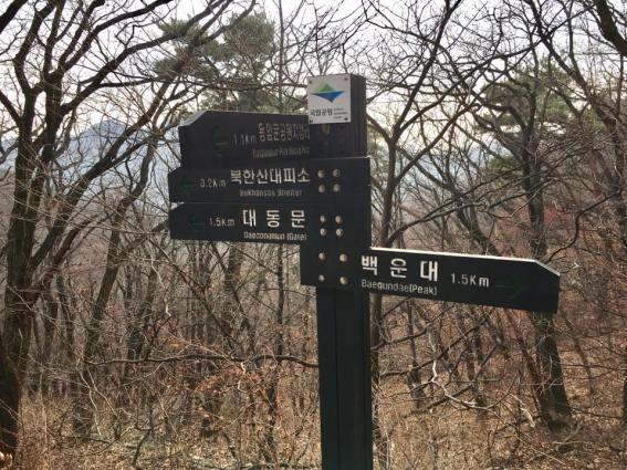 coming-down-1-5km-to-daedongmun-gate